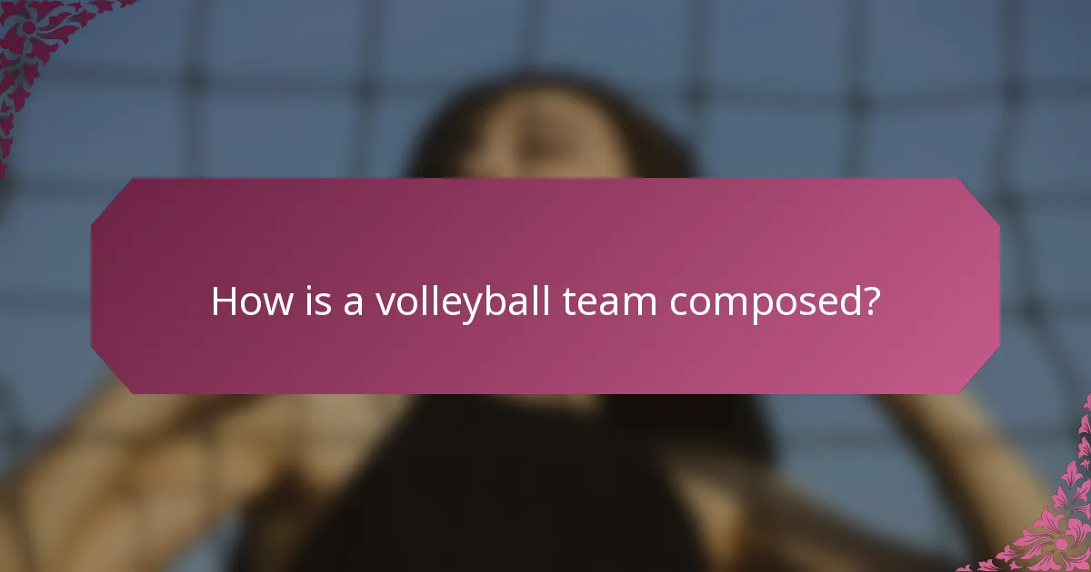 How is a volleyball team composed?